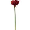 Amaryllis Roja 68cm