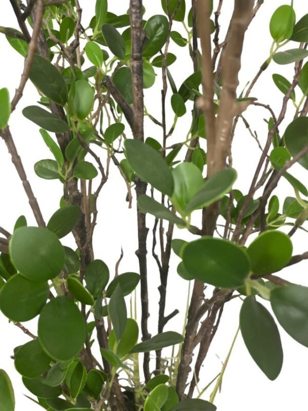Arbusto Hoja Chica 122cm
