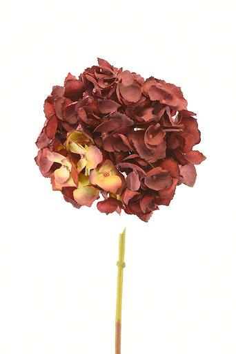 Hortensia Roja 50cm