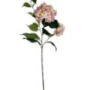 hortensia-francesa-rosa-85cm