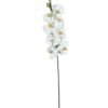 Rama Orquídea De 8 Flores 100cm