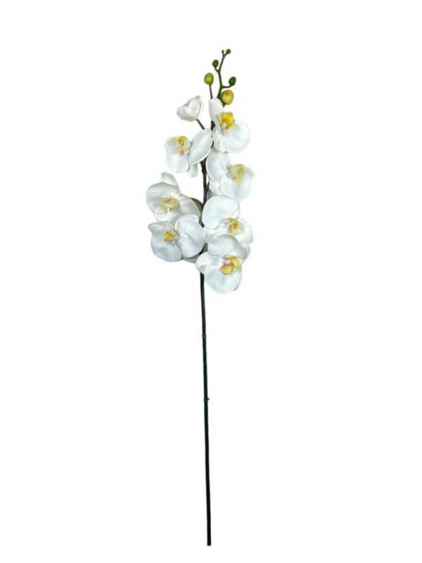 Rama Orquídea De 8 Flores 80cm