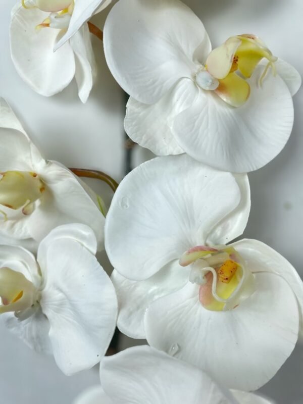 Rama Orquídea De 8 Flores 80cm