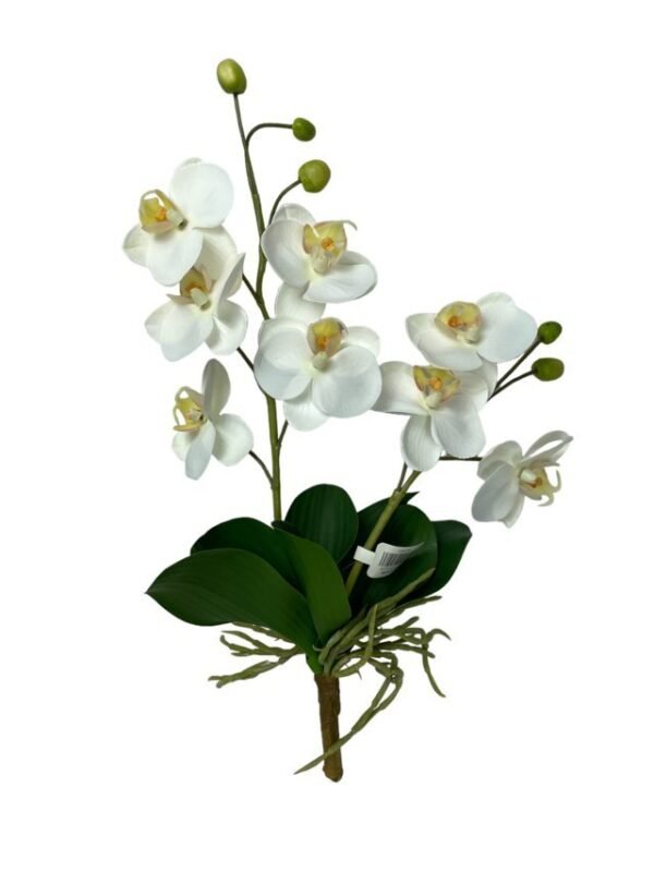 Orquídea Chica Con Hojas 30cm