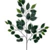 Rama De Ficus Variegada 50cm