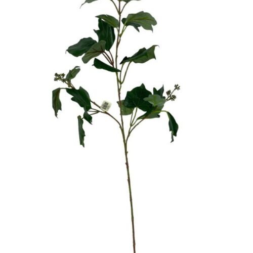 Rama French Ivy 75cm