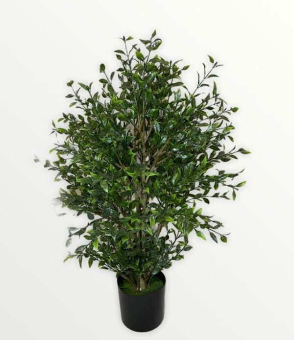 Arbusto Eucalipto o Boxwood 76cm