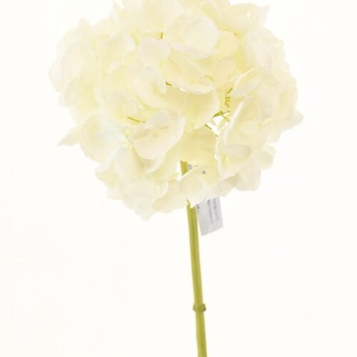 Hortensia Blanca 50cm