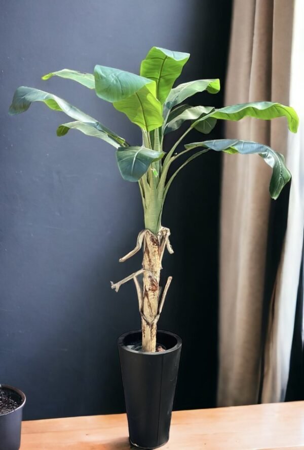 Árbol de Banano 175cm