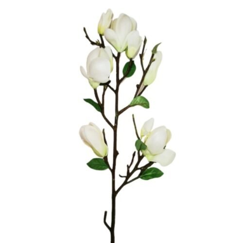 Rama Magnolia Blanca 84cm
