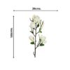 Rama Magnolia Blanca 84cm
