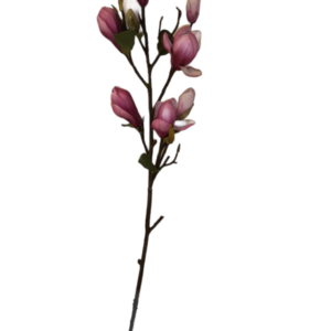 Rama Magnolia Fucsia 84cm