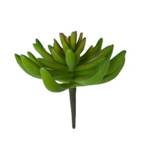 Suculenta Verde 13cm