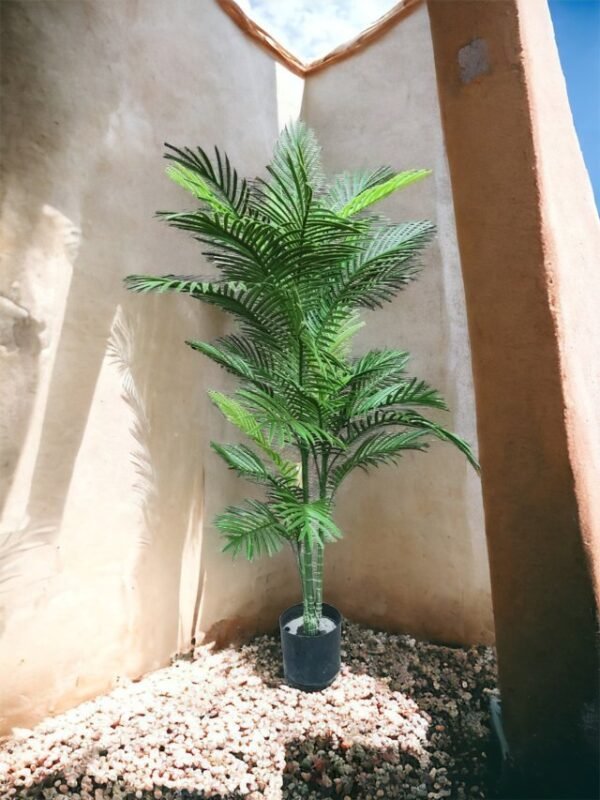 Palmera Rubelina 150cm Con Filtro UV