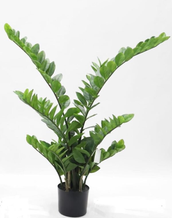 Planta Zamifolia 110cm