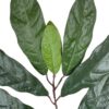 Rama de Ficus Verde-Mauve 50cm