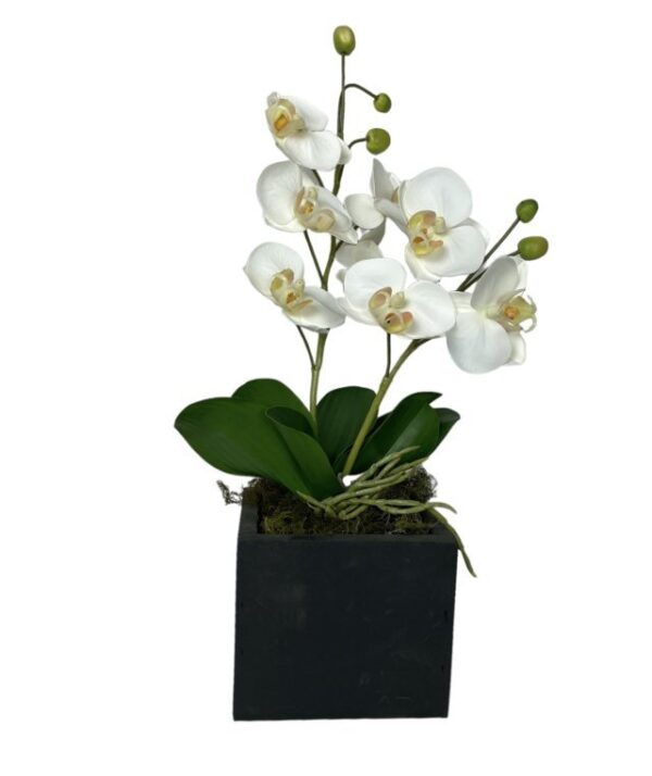 Arreglo De Orquídea 30cm