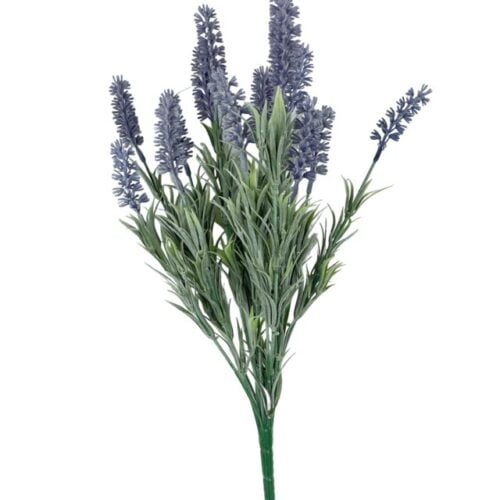 Pasto Lavanda 46cm