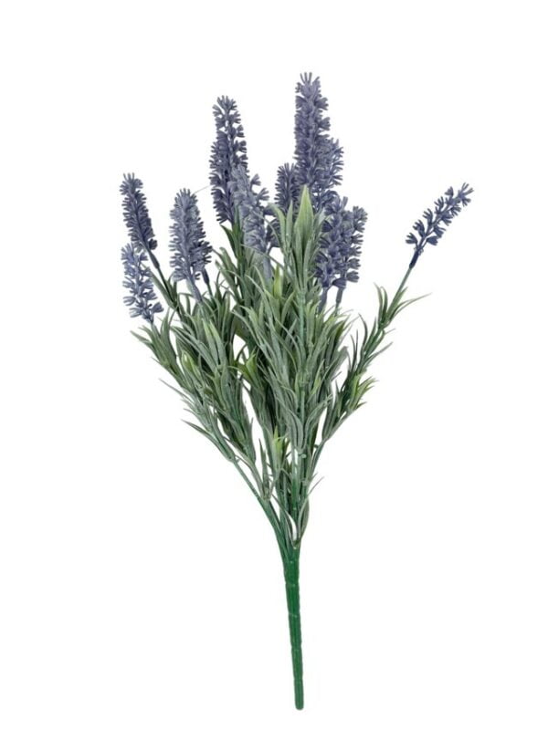 Pasto Lavanda 46cm