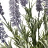 Pasto Lavanda 46cm
