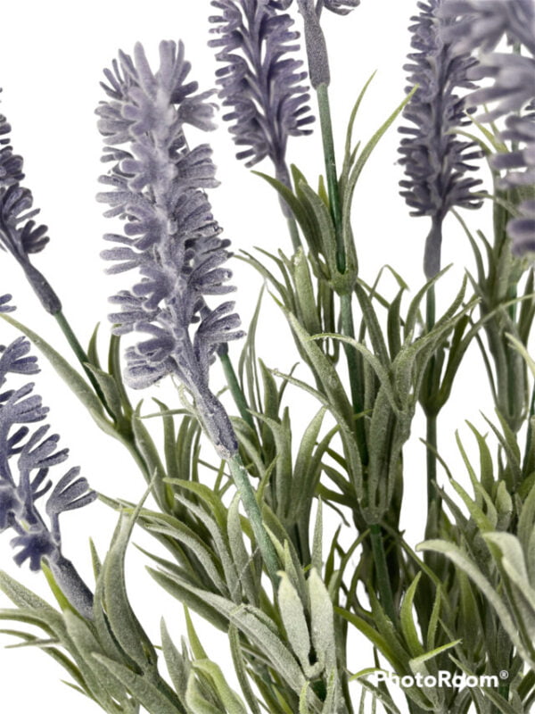 Pasto Lavanda 46cm