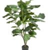 Árbol Fidel o Ficus Lyrata 90cm