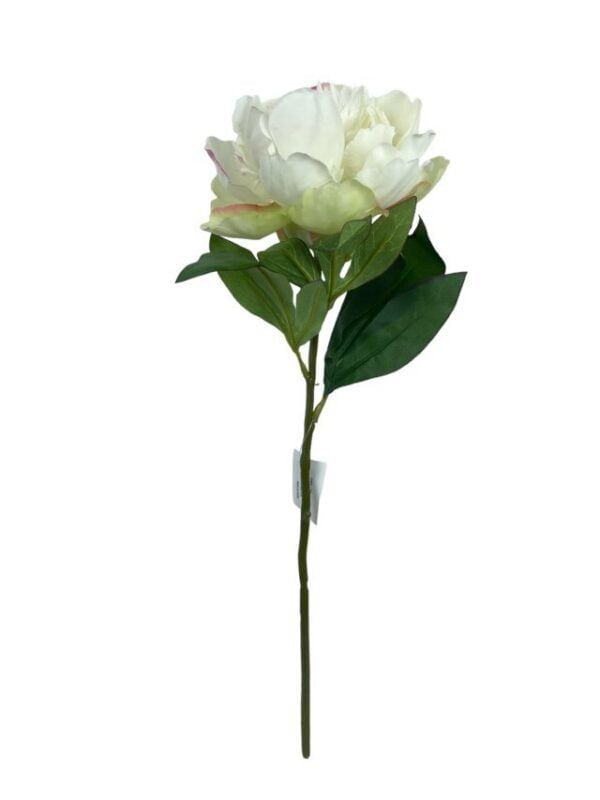 Peonía Blanca Simple 45cm