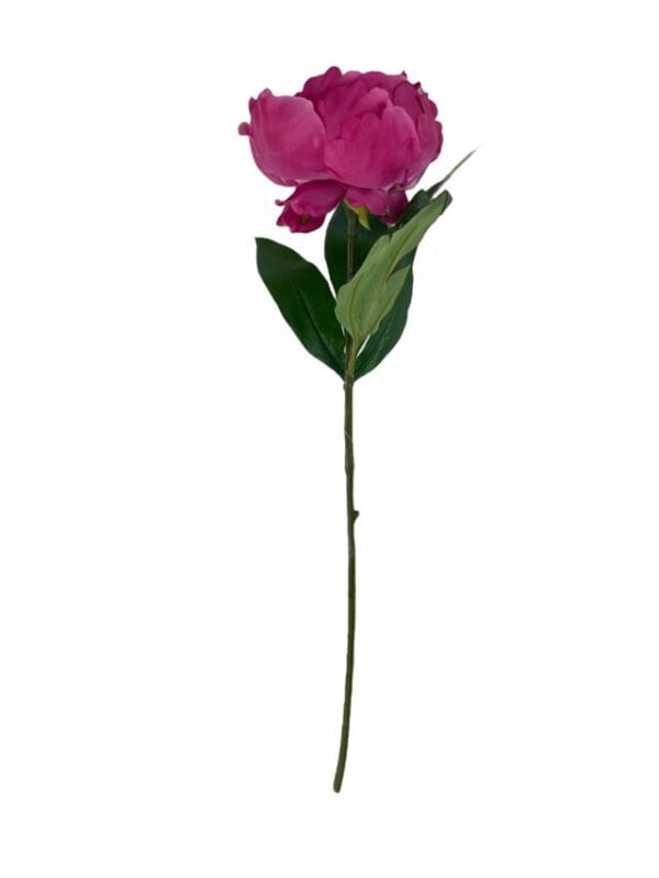 Peonía Fucsia Simple 45cm