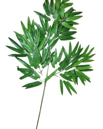 RAMA_BAMBU