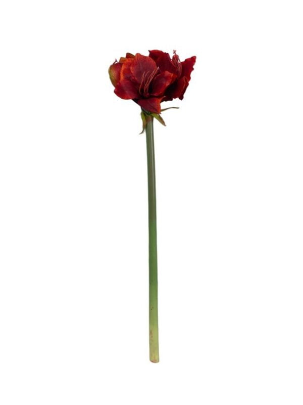 Amaryllis Roja 68cm