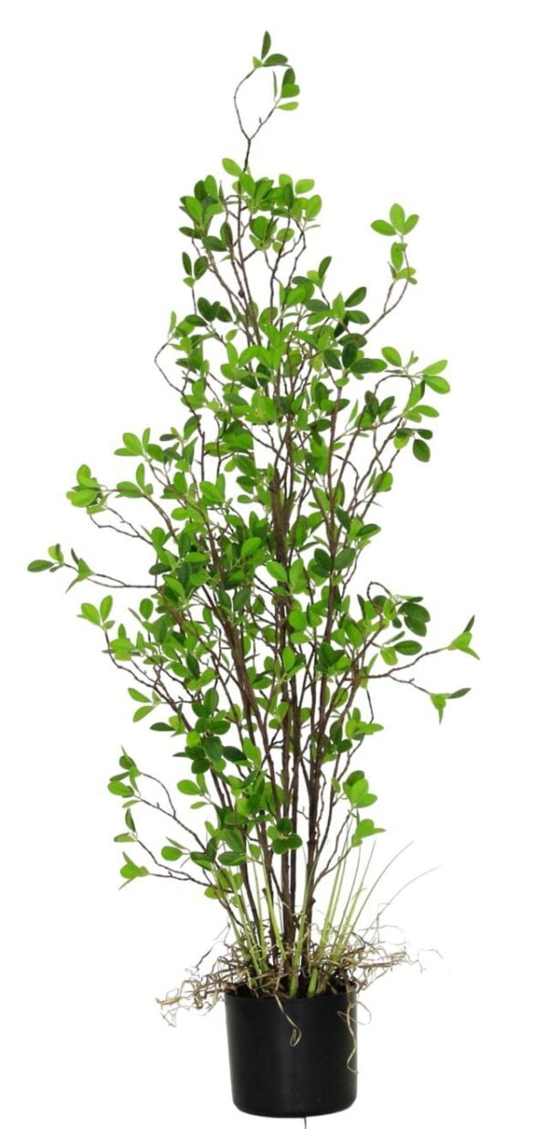 Arbusto Hoja Chica 122cm