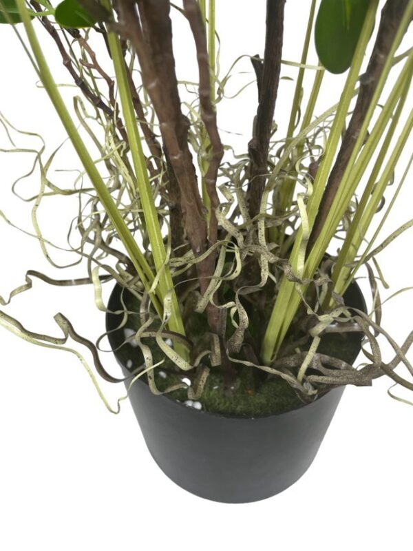 Arbusto Hoja Chica 122cm