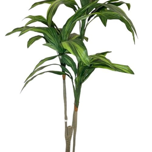 Arbusto Dracena 120cm