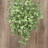 Árbol Ginkgo 180cm