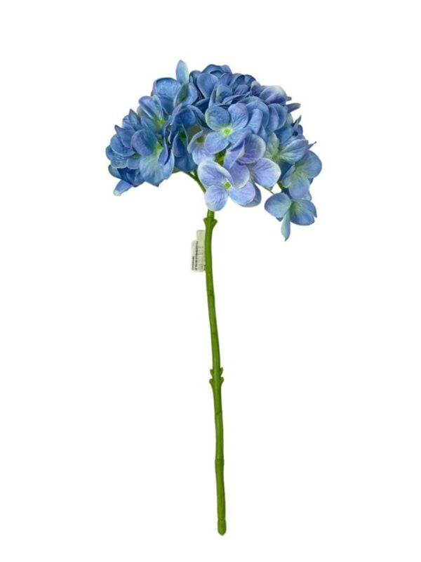 Hortensia Celeste 45cm
