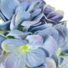 Hortensia Celeste 45cm
