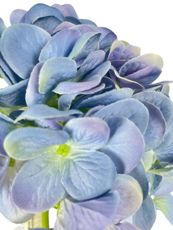 Hortensia Celeste 45cm