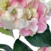 hortensia-francesa-rosa-85cm