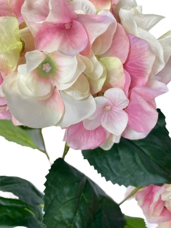 hortensia-francesa-rosa-85cm
