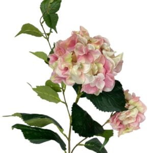 hortensia-francesa-rosa-85cm