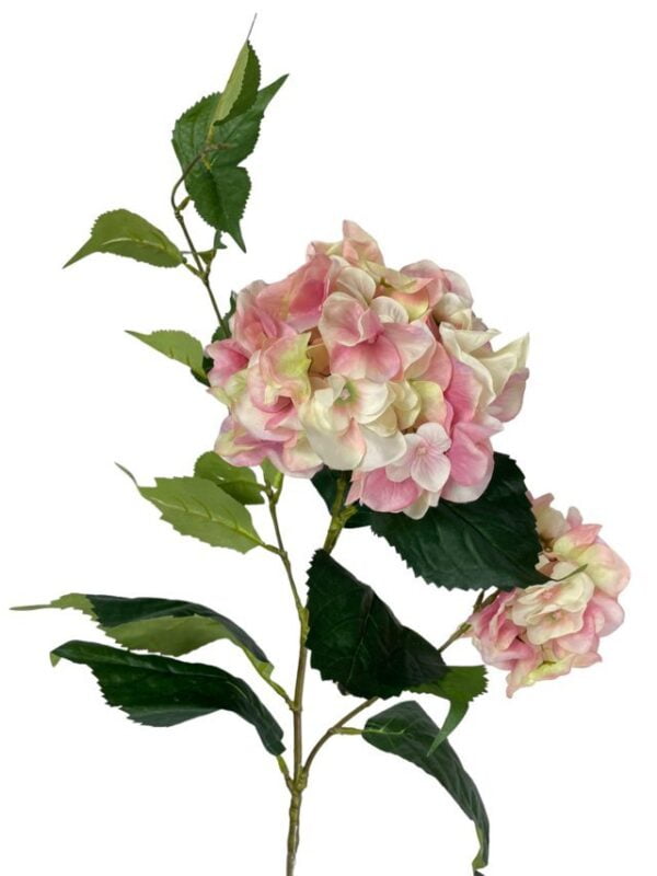 hortensia-francesa-rosa-85cm