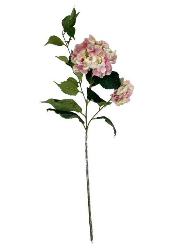 hortensia-francesa-rosa-85cm