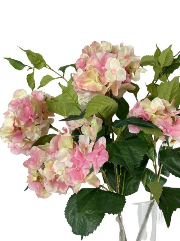 hortensia-francesa-rosa-85cm