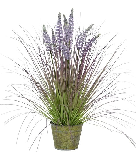 Pasto Lavanda Con Macetero 71cm