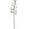 Rama Orquídea De 8 Flores 80cm