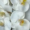 Rama Orquídea De 8 Flores 80cm