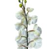 Rama Orquídea De 8 Flores 80cm
