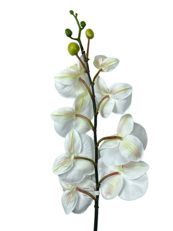 Rama Orquídea De 8 Flores 80cm