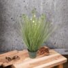 Pasto Cebolla Con Florencia 71cm