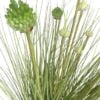 Pasto Cebolla Con Florencia 71cm